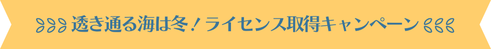 透き通る海は冬!ダイビングライセンス取得キャンペーン